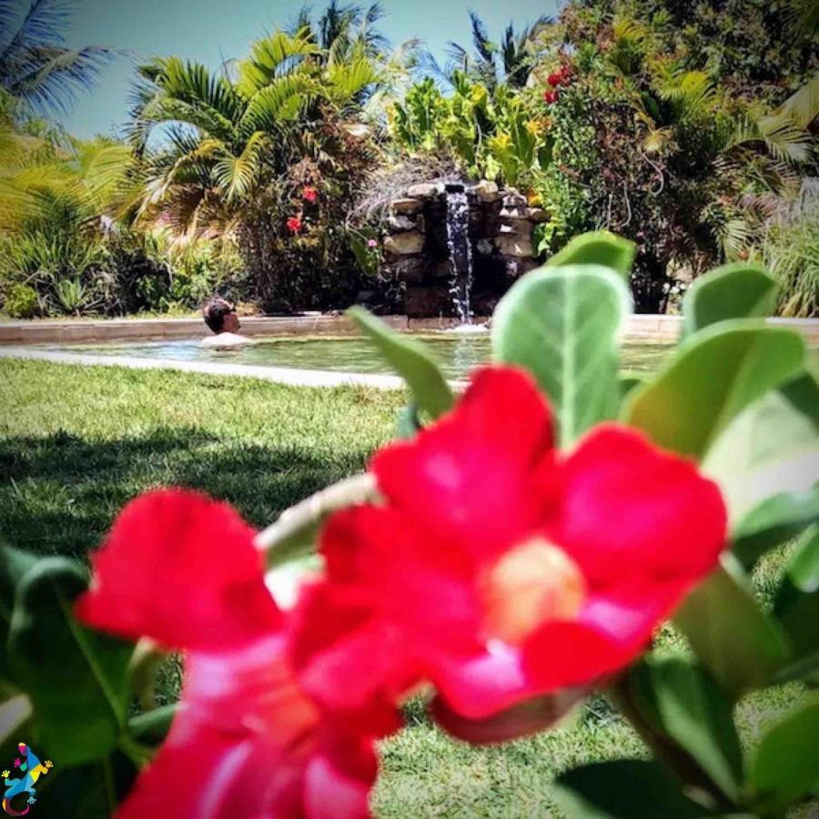 Castelo Vendom Ecolodge Parajuru Εξωτερικό φωτογραφία